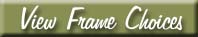 View Frame Choices